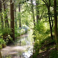 Siebentischwald ParkhÑusl038